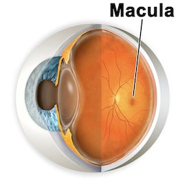 Diagnosis and Treatment of Macular Degeneration