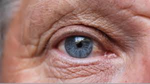 Wet and Dry Macular Degeneration share common link