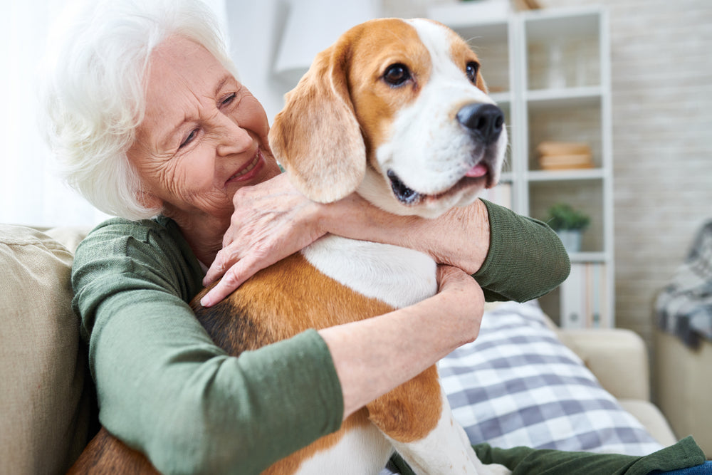 Pets are a booster for brain health for seniors