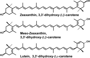 Why VisiVite Formulas Don't Contain Meso-Zeaxanthin
